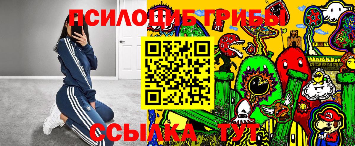 где найти наркотики  Вход с VPN  Урюпинск  Псилоцибиновые грибы мухоморы 