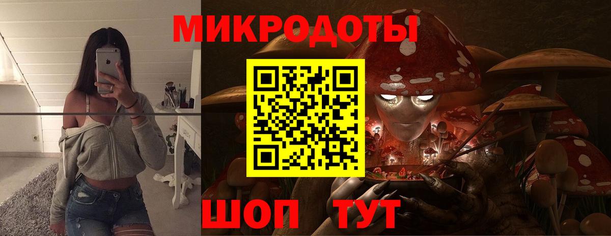 Псилоцибиновые грибы Psilocybe Урюпинск